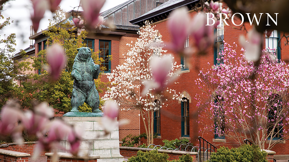 Indomitable in Springtime