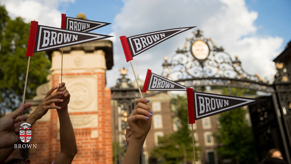 Brown pennants