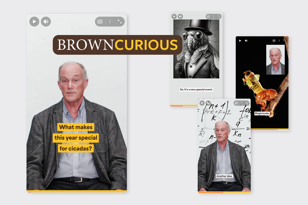 Screenshots of YouTube Shorts video, "What makes this year special for cicadas?"